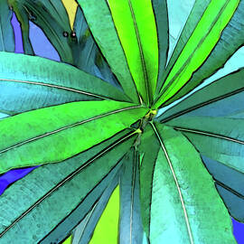 Euphorbia by Gina Harrison