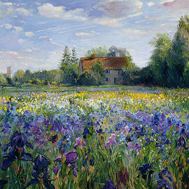 Evening at the Iris Field by Timothy Easton
