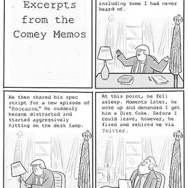 Excerpts from the Comey Memos by Ellis Rosen