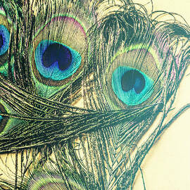 Exotic eye of the peacock by Jorgo Photography