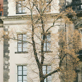 Facade in Prague by Jelena Jovanovic