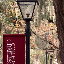 Fall at The College of Charleston by Melanie Snipes