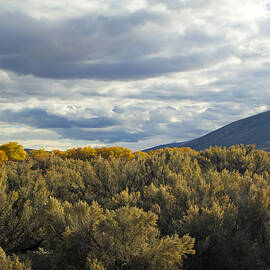 Fall Colors in Carson City, Nevada by Waterdancer 