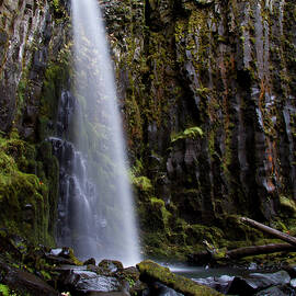 Falling Water by Jean Noren