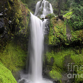 Falls Creek Falls in Washington  by Bruce Block