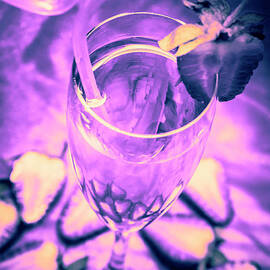 Fancy champagne with sliced strawberries by Jorgo Photography