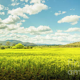 Farmland colour by Jorgo Photography