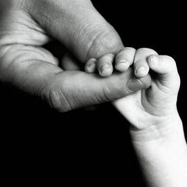 Father holding hand of baby by Sami Sarkis Photography