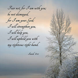 Fear Not by Mary Jo Allen