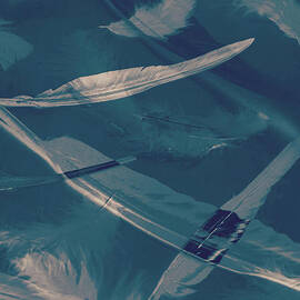 Feathers floating in the air by Jorgo Photography