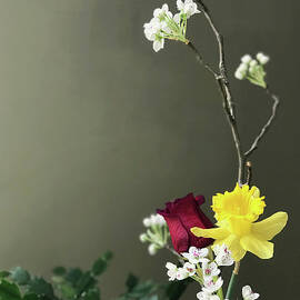 February Still Life by Gina Harrison