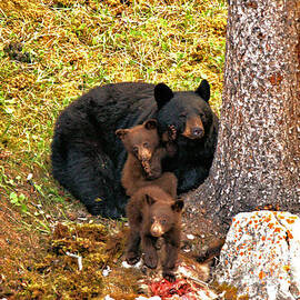 Feeding The Little Ones by Adam Jewell
