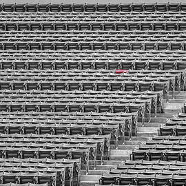 Fenway Park Red Chair Number 21 BW by Susan Candelario