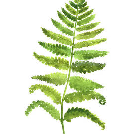 Fern Wall Poster, Green Kitchen Decor, Botanical Floral Painting by Joanna Szmerdt