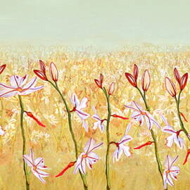 Field Of Lilies by Angeles M Pomata