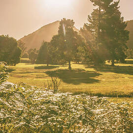 Fields of springtime by Jorgo Photography