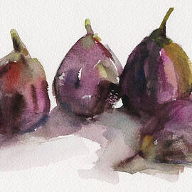 Fig Season by Beverly Brown