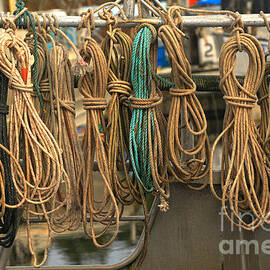 Fishing Ropes And Knots by Adam Jewell