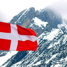 Flag of Savoie by Olivier Le Queinec