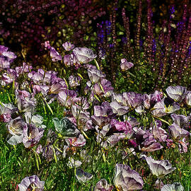 Floral Stamped Colors by Bill and Linda Tiepelman