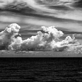 Florida Seascape by Louis Dallara