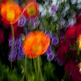 Flower Motion by Kelley King