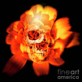 Flower skull by Jorgo Photography