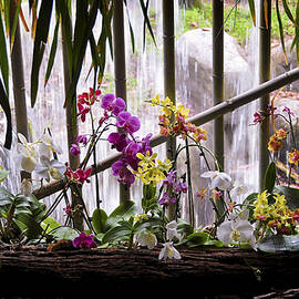 Flowers and Waterfall by Steven Sparks