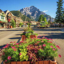 Flowers on the famous Banff Avenue with street view in Banff, Canada by Miroslav Liska