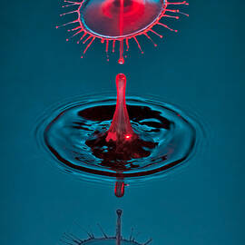 Fluid Parasol by Susan Candelario