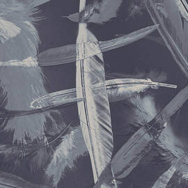 Flying featherabstract background by Jorgo Photography