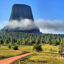 Fog Around The Tower by Adam Jewell