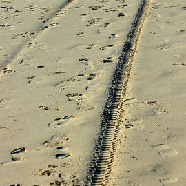 Footprints and tyre tracks in the sand by Sami Sarkis Photography
