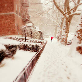 The Red Umbrella by Jessica Jenney