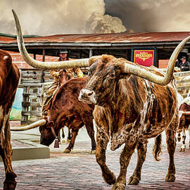 Fort Worth Stockyards by Kelley King