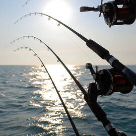 Four Fishing Rods at Sunrise by Paul Velgos
