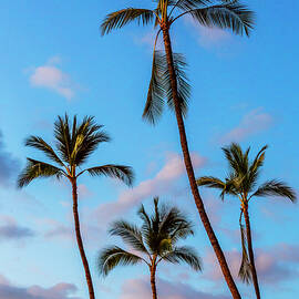 Four Palms by Kelley King