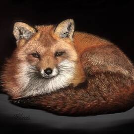 Foxy by Marlene Little