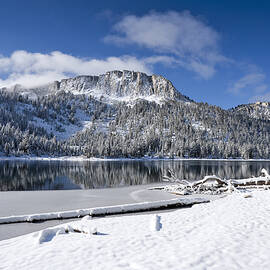 Fresh Snow by Kelley King