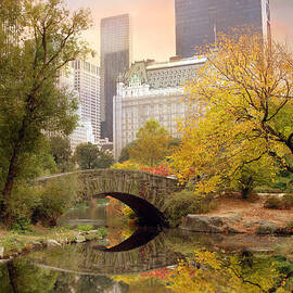 Gapstow Bridge Reflections by Jessica Jenney