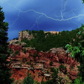 garden of the gods by Flees Photos