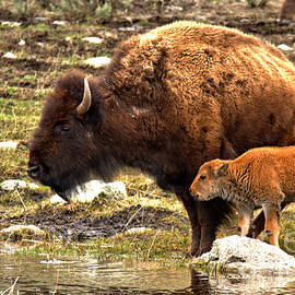 Getting A Drink With Junior by Adam Jewell
