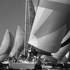 Getting Ready to Round the ark by David Shuler