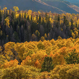 Geyser Pass Road, La Sal Mountains by Dan Norris