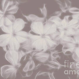 Ghost Flower - Souls in bloom by Jorgo Photography