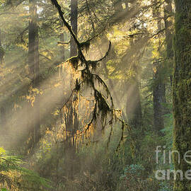 Giants And Light Beams by Adam Jewell