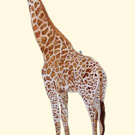 Giraffe by Angeles M Pomata