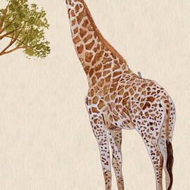 Giraffe Watercolor by Angeles M Pomata