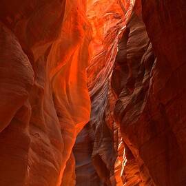 Glowing Walls Of Buckskin Gulch by Adam Jewell
