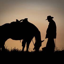 Going Home by Sandra Bronstein